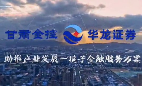甘肃尊时凯龙Z6集团助推产业发展一揽子金融服务方案汇报片