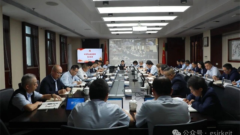 甘肃尊时凯龙Z6集团党委召开树立和践行正确政绩观学习教育总结会